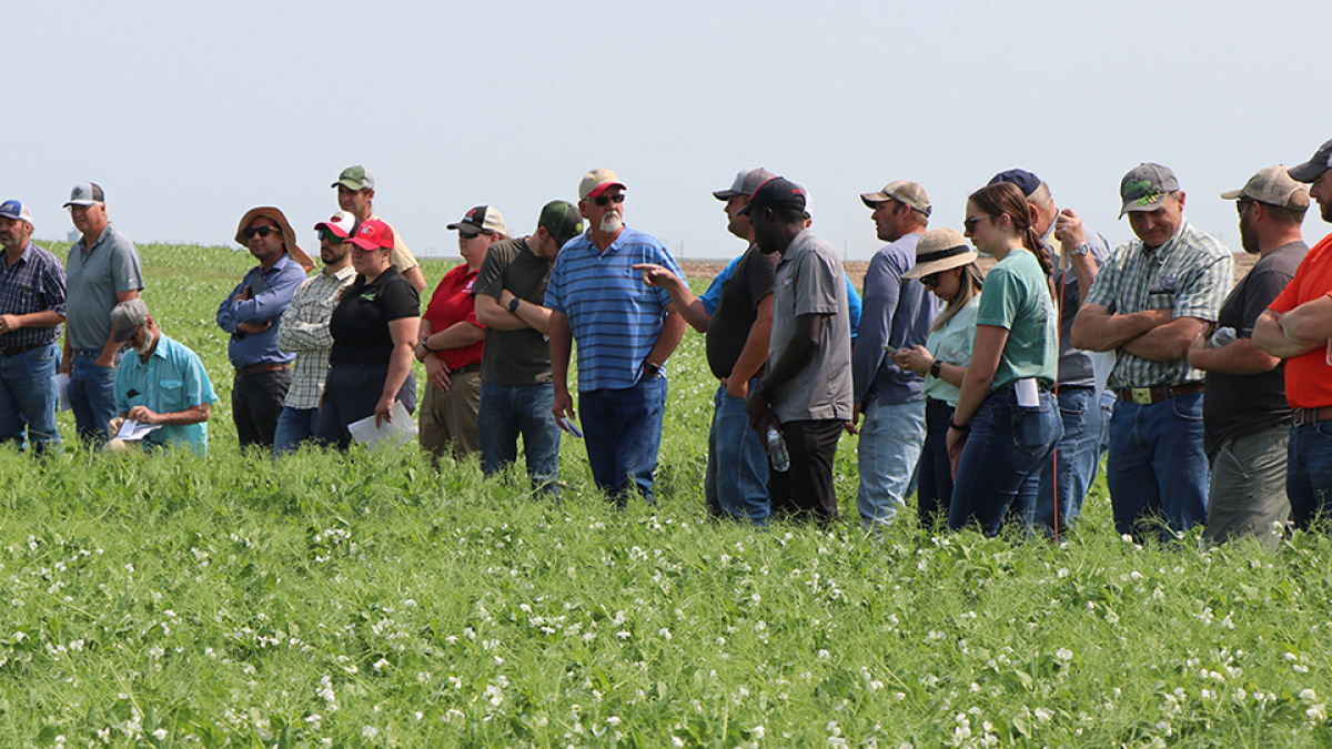 Soil Health Exchange brings answers to grower's questions