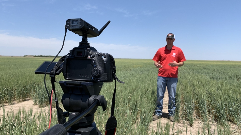 Panhandle Perspectives: Virtual field day online for UNL High Plains Ag Lab