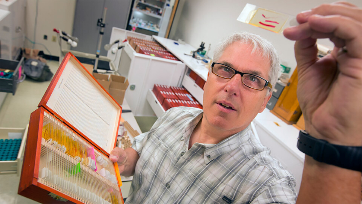 Q&A: Gardner discusses new book on parasites