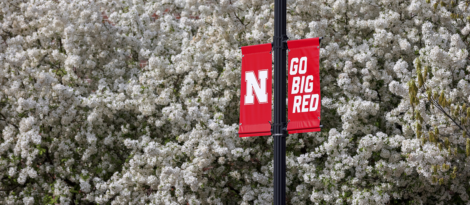 UNL banners