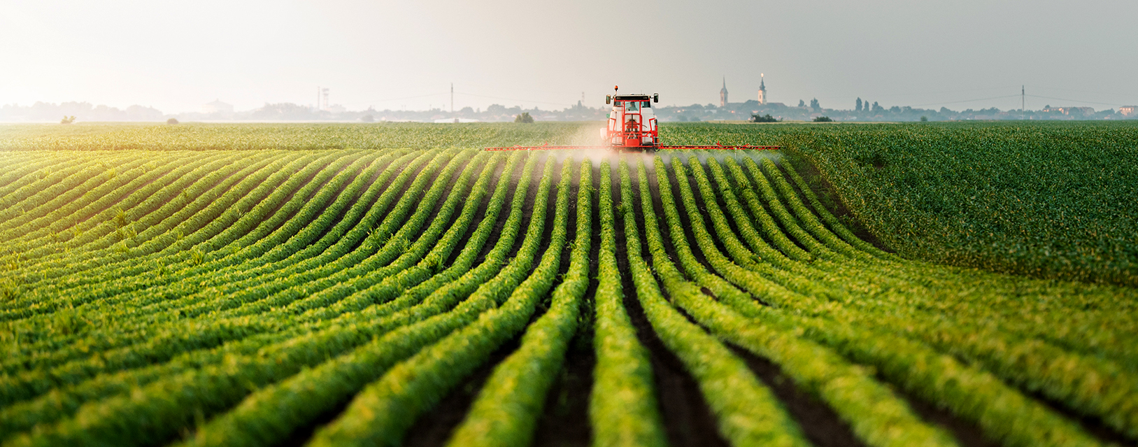 A red tractor sprays crops in a vast green field under a clear sky.