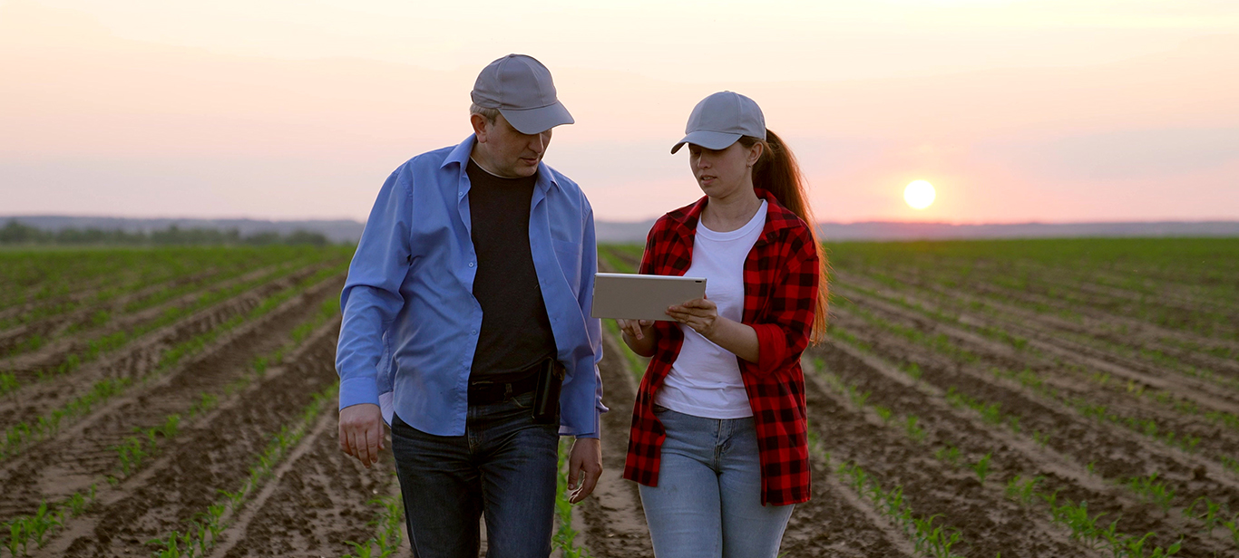 Two people in caps walking in a field at sunset, one holding a tablet.