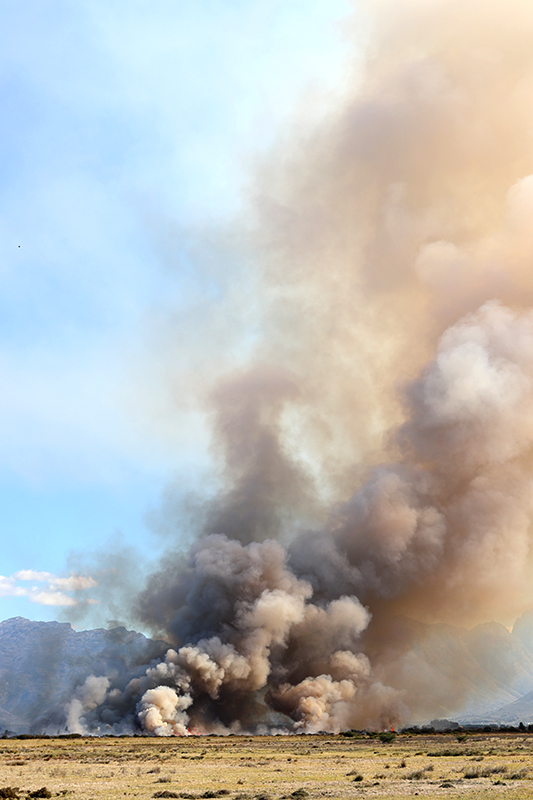 Thick smoke billowing from a wildfire in a dry, open field under a blue sky.