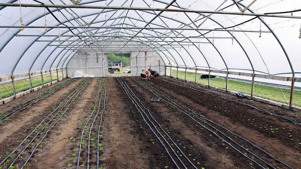 Micro Irrigation work