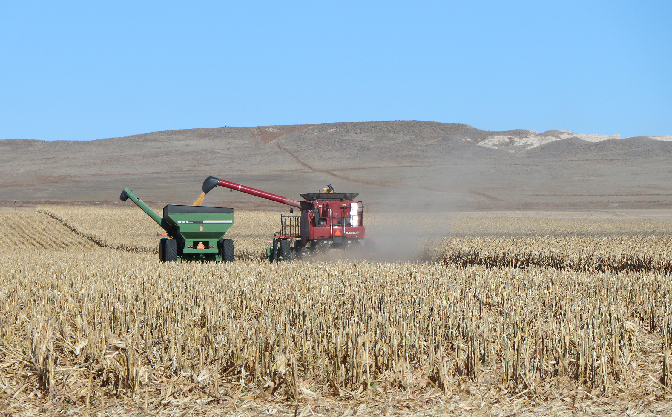 Photo of harvest