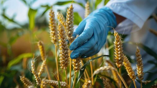 UNL Husker Genetics