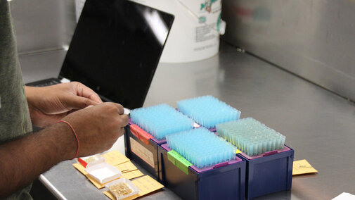 scientist labeling samples in a lab