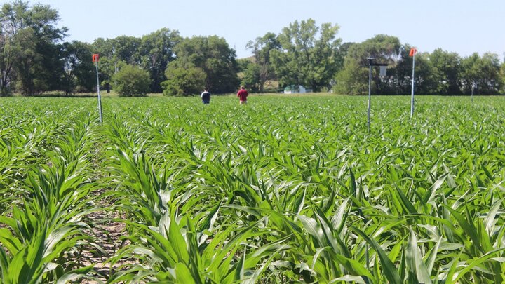 Testing Ag Performance Solutions (TAPS)