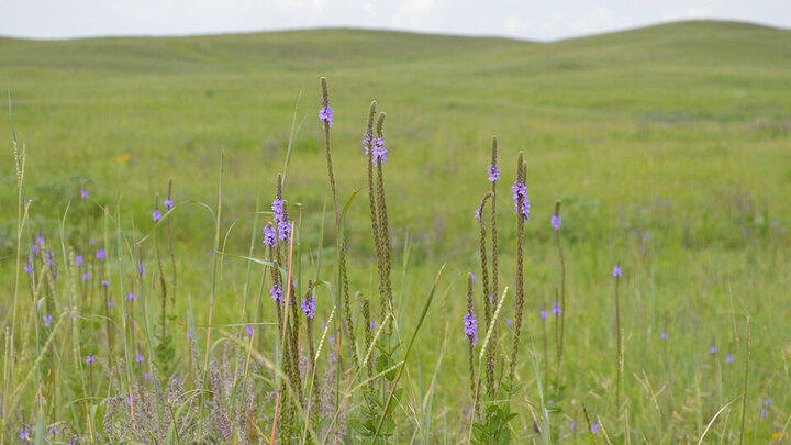 Nebraska Environmental Trust