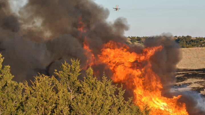 land burn
