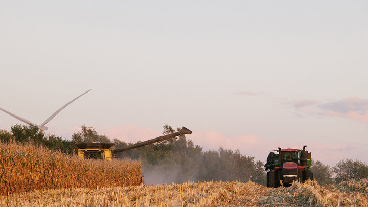 harvest