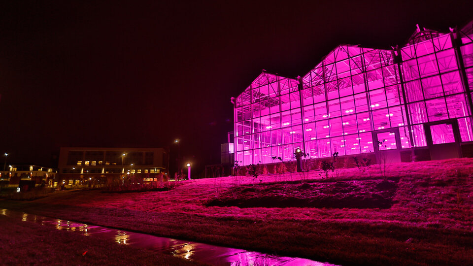 evening photo of Beadle Center