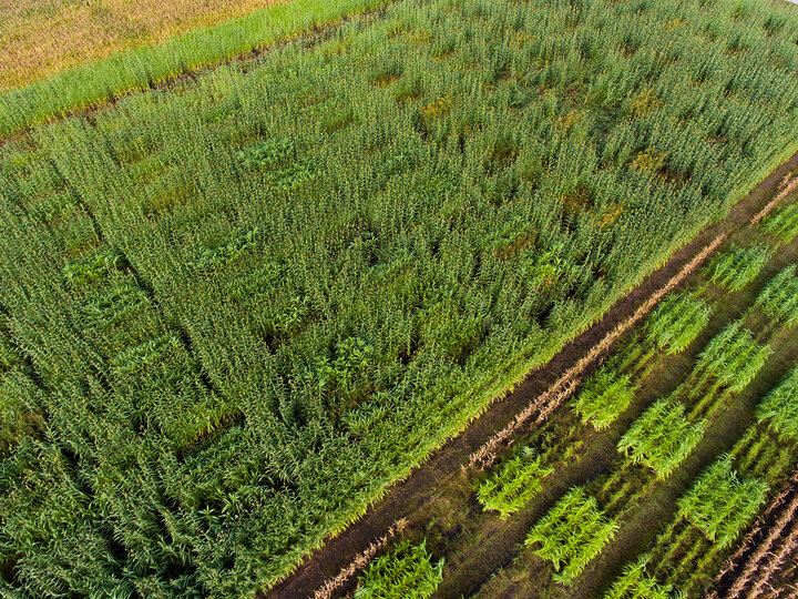 aerial view of fields