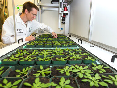 man working with plants in trays