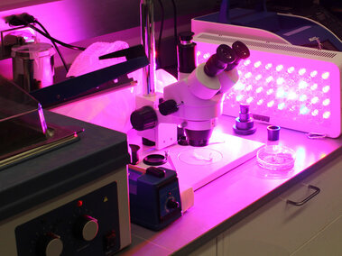 view of microscope in a lab setting