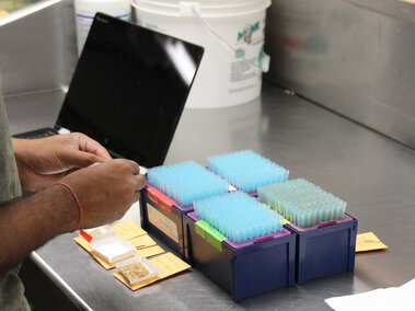 scientist labeling samples in a lab