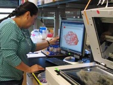 Researcher in lab looking at computer