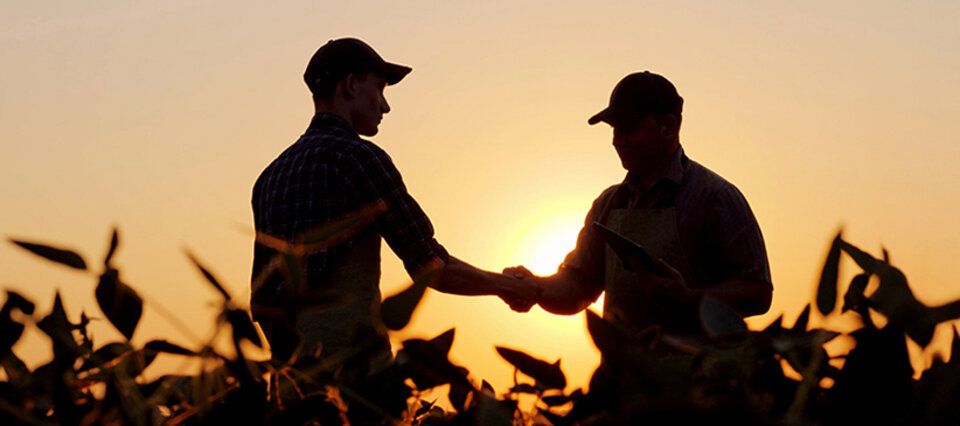 Two farmers shaking hands in a field at sunset.