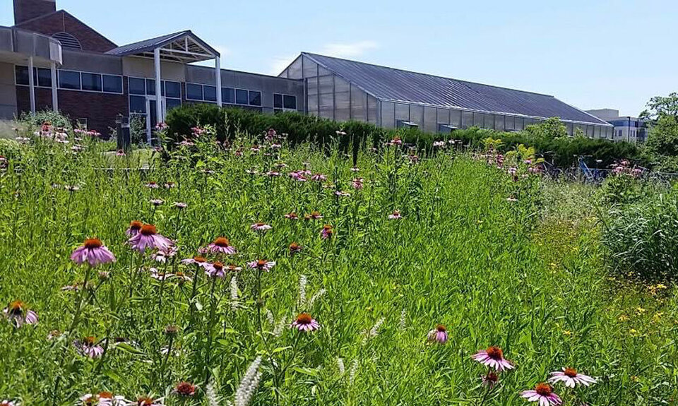 beadle center greenhouse