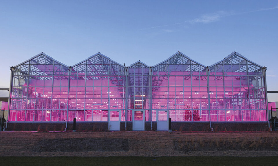 greenhouse exterior at dusk